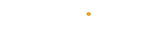 Brainforest Gabon
