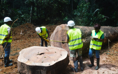 Assimilation et vulgarisation des éléments du plan d’action FLEGT par la société civile gabonaise, pour sa participation qualitative aux travaux de négociation et de mise en œuvre de l’APV : réunion technique