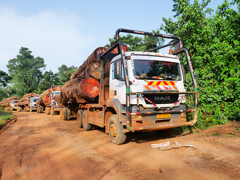 camions-trons