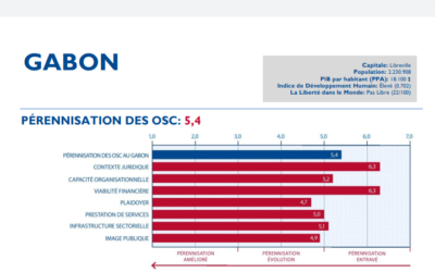 Gabon : Rapport 2019 de l’indice de pérennisation des Osc