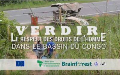Projet Verdir : évaluation du Droit au partage des bénéfices au Gabon